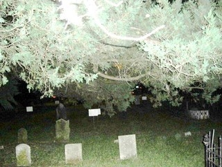 Huguenot Cemetery