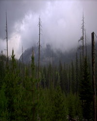 Mist in the Ozark Mountains