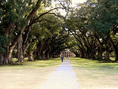 Oak Alley Plantation