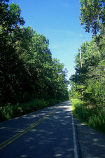 Haunted Road