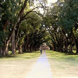 The Oak Alley Plantation